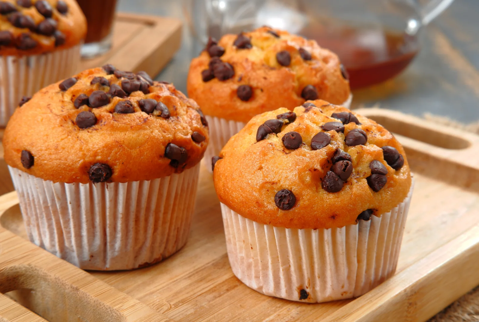 Chocolate Chip Cupcake