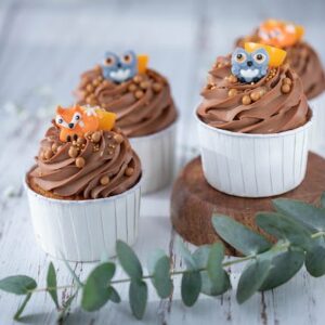 Chocolate Cupcakes Decorated